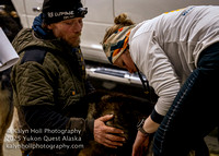 ©KalynHoll_vetchecks_YukonQuestAK2024-00554