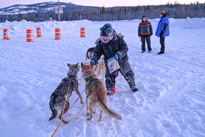 Yukon Quest: Braeburn - Finish - 100 mile &emdash; _DSC1679