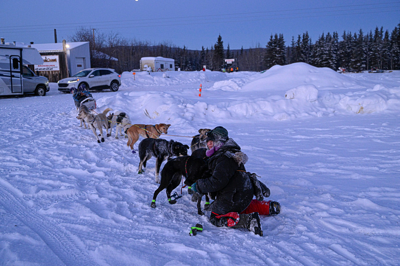 Yukon Quest: Braeburn - Finish - 100 mile &emdash; _DSC1653