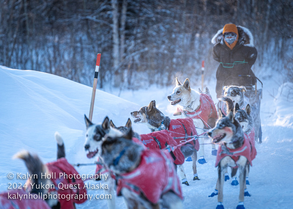 ©KalynHoll_PVCheckpoint_YukonQuestAK2024-14