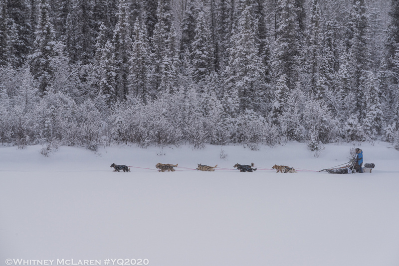 Yukon Quest Whitehorse Finish