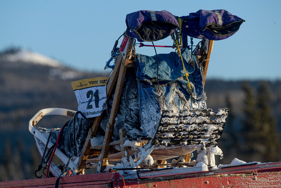 Yukon Quest: 2022 Top Shots &emdash; _85O0966