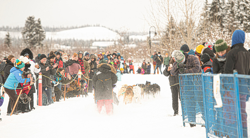 Yukon Quest: Whitehorse Start - 100 mile &emdash; _DSC4841